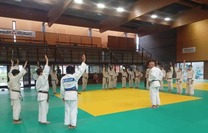 Judo: Essonne is a hit!