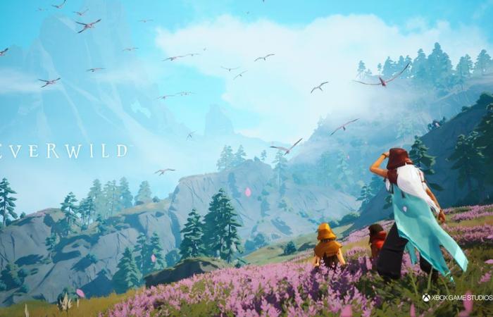 Everwild: development would go well, the gameplay loop would have been developed | Xbox