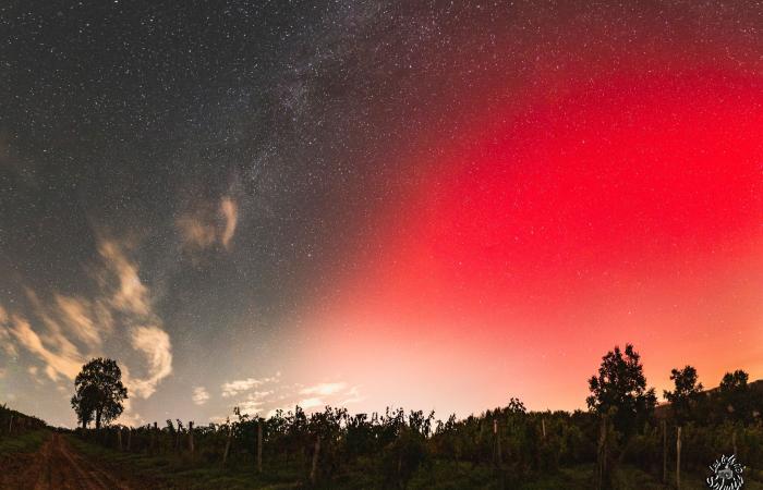 Photos: magnificent northern lights lit up the sky over Gironde