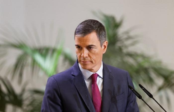 Pedro Sánchez calls for an end to arms deliveries to Israel