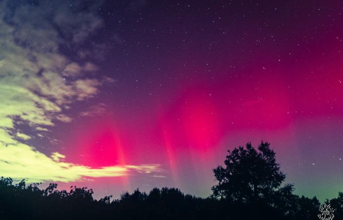 Photos: magnificent northern lights lit up the sky over Gironde