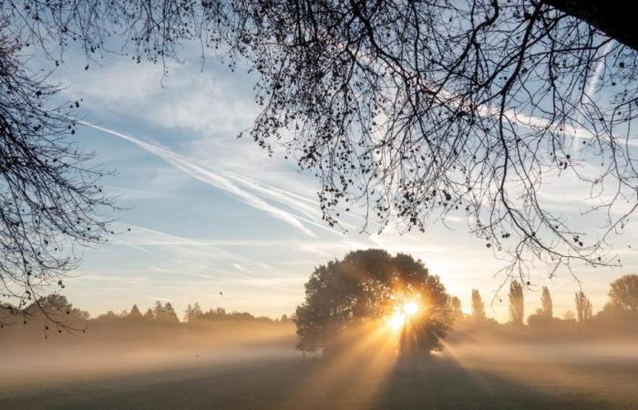 Hesse: Autumn weather: A touch of golden October touches Hesse