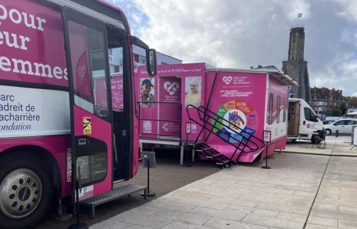 Cardiovascular diseases: more than 300 women took advantage of the bus to be screened