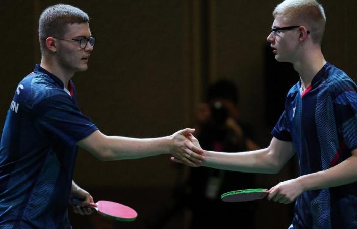 Table tennis: The Lebrun brothers conquer Europe