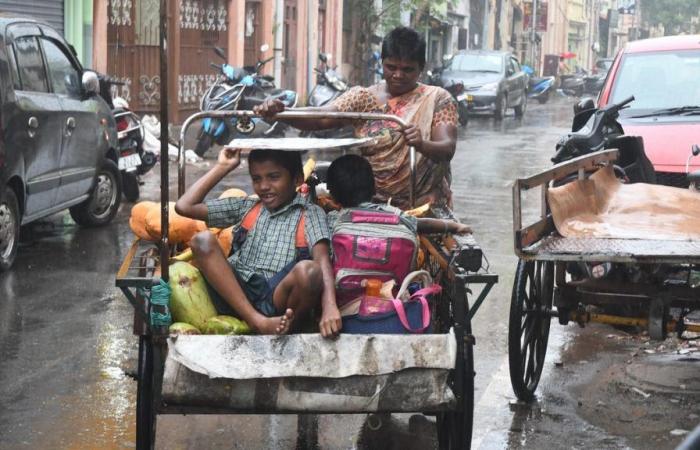 Chennai rains: Holiday for schools, colleges on October 15; work from home for IT employees