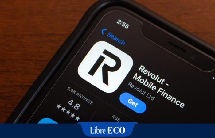 This Revolut customer had nearly 200,000 euros stolen: “The bank’s security measures are not sufficient”