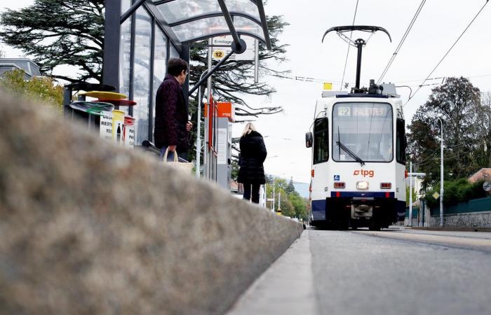 TPG: The Route de Chêne tram line will be redeveloped