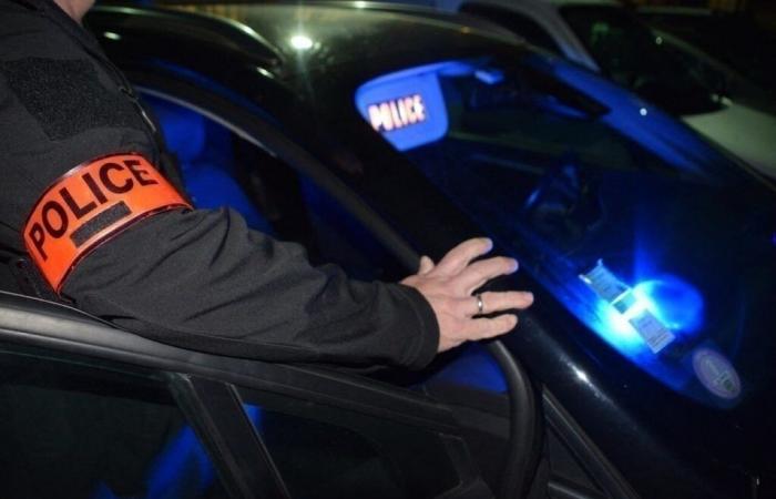 Seine-et-Marne. Six individuals, including a minor, arrested for meeting theft by the police