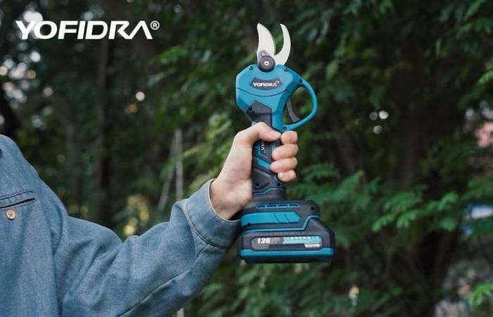 This electric pruner becomes the star of gardens for less than 45 euros