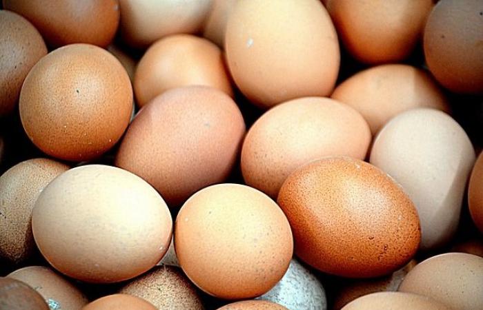 Health: how many eggs can you eat per week?