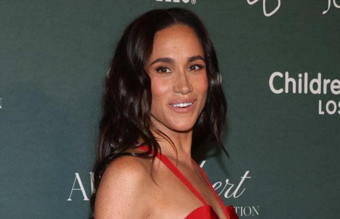 Meghan Markle in turmoil, her ex-bodyguard comes out of silence