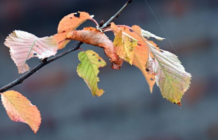 Clouds and temperatures below 15 degrees in NRW