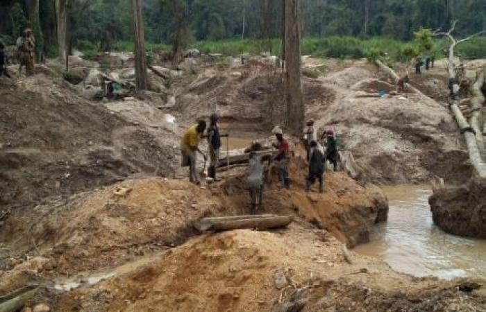 the issue of illegal gold miners enters the electoral campaign