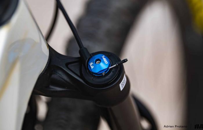 A curious Fox 34 fork on Luca Martin’s bike ⋆ Vojo