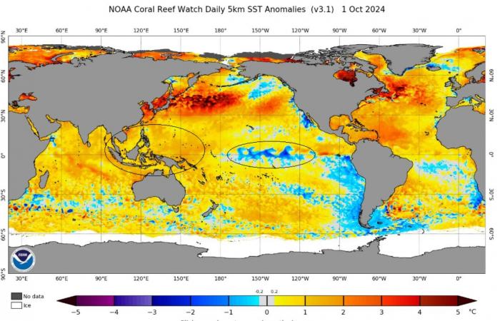 Grasshopper’s 2024-2025 Japan Snow Season Outlook – Potential La Niña Could Deliver the Goods