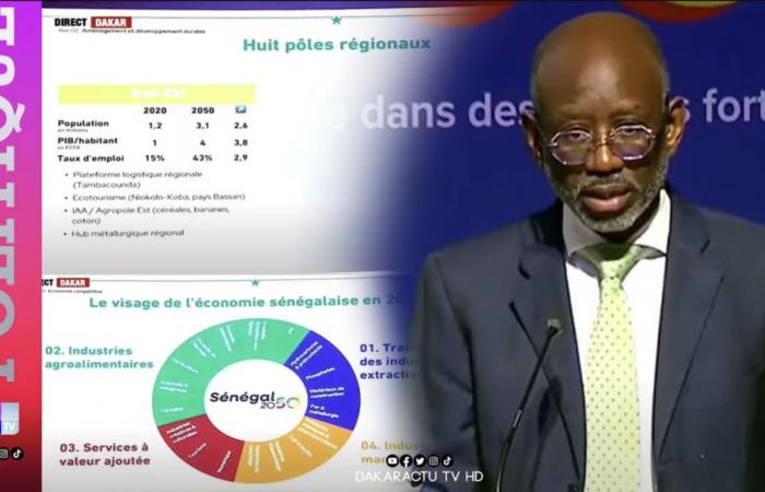 Victor Ndiaye presents the Senegal 2050 vision “Making Senegal in 25 years a sovereign, just and prosperous country”