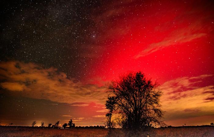 Photos: magnificent northern lights lit up the sky over Gironde