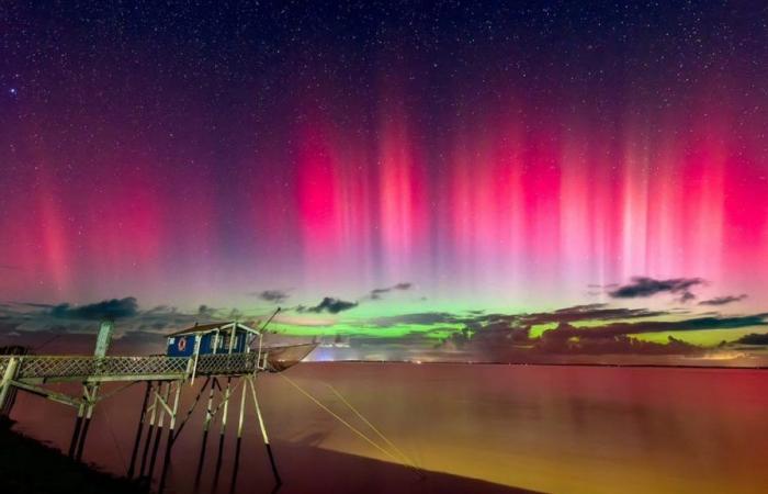 Photos: magnificent northern lights lit up the sky over Gironde