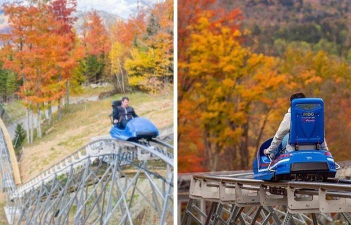 You can ride a 2 km roller coaster in nature 2h30 from Montreal