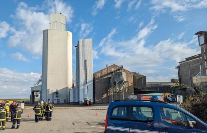 Around thirty firefighters mobilized on a grain dryer fire, north of Loiret