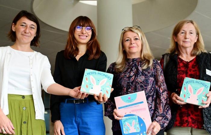 “The goal is to familiarize people with reading”, the book from the new edition “Premières pages” unveiled at the Departmental Council