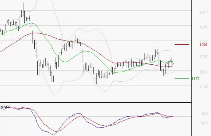 M6: The downward trend may resume – 14/10/2024 at 08:14