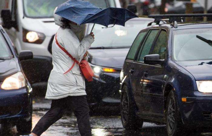 Rainy and windy weather in Quebec: the weather spoils the Thanksgiving holiday