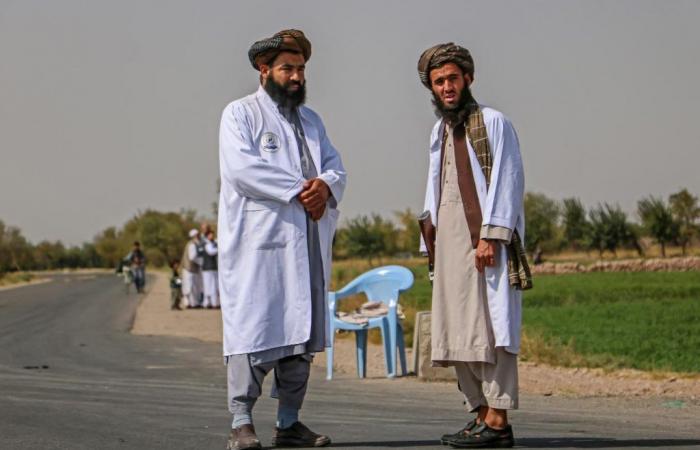 In Afghanistan, Taliban authorities promise to ban images of living beings in the media