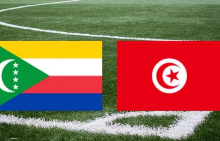 Tunisia: on which channel and at what time to watch the CAN match live?