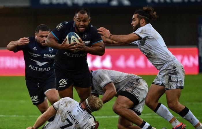 Top 14 – Montpellier: Billy Vunipola, pattern size