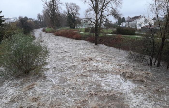 Weather report. “Diluvian rains” announced in the Pyrenees: a sector particularly concerned