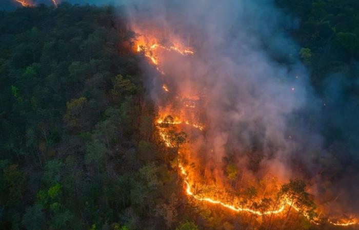 France is the second country most affected by natural disasters