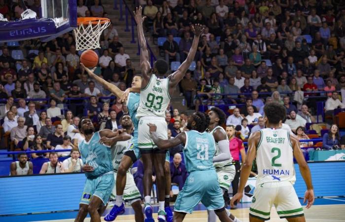 Basketball. Elan Béarnais – Limoges: “The game plan was the fight,” says Bastien Pinault after qualifying.