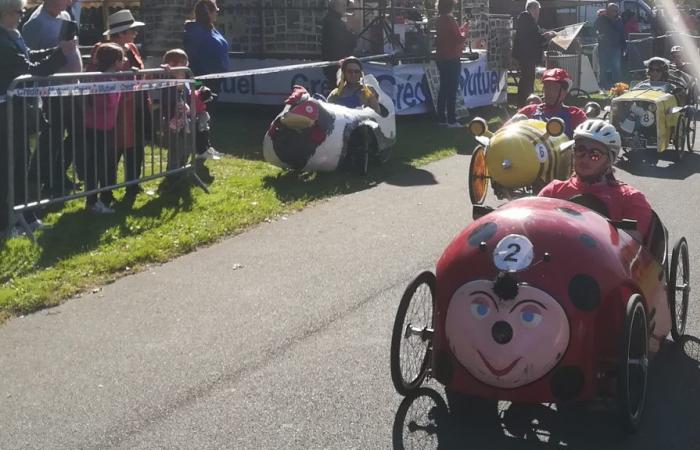 fifteen crews for the pedal car race