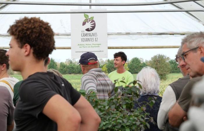 “More than 700 kilometers throughout the department”: a new nursery in Tarn-et-Garonne wants to encourage the installation of rural hedges