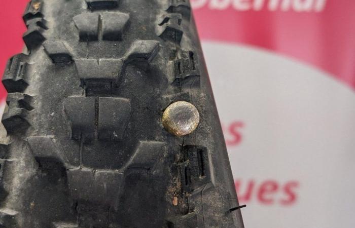 Bugs, nails… But who blames cyclists?