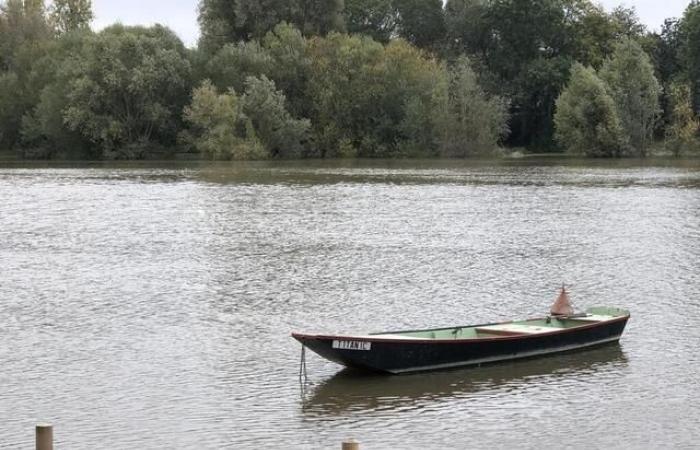 IN PICTURES. After heavy rains, the Maine floods the quays of Angers