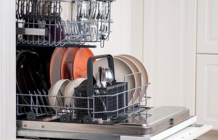 New dishwashers with subscription annoy in Switzerland