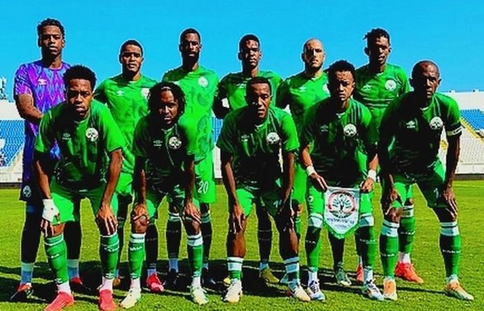 defeat of Madagascar against Gambia 1 to 0