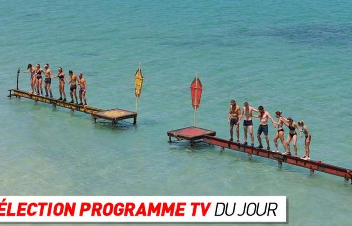 TV program: Koh-Lanta, Our story of France… what to watch on TV this evening?