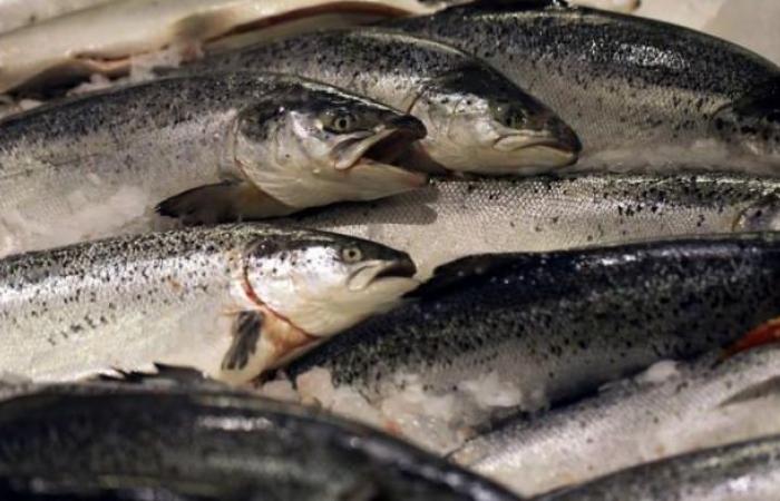 Pink trout fillets recalled throughout France