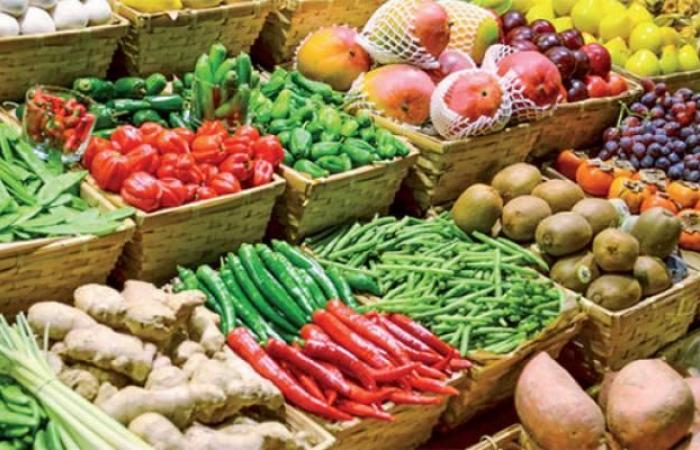 Fruits and vegetables: Morocco maintains its position as Spain’s leading supplier