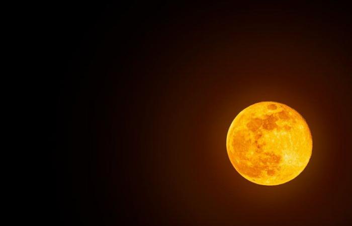 It will be visible from this Wednesday: what is the “full hunter’s moon” and how to observe it?