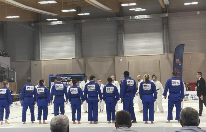 Juniville-Marnaval beaten again for the second day of the Judo Pro League, in Sainte-Geneviève-des-Bois