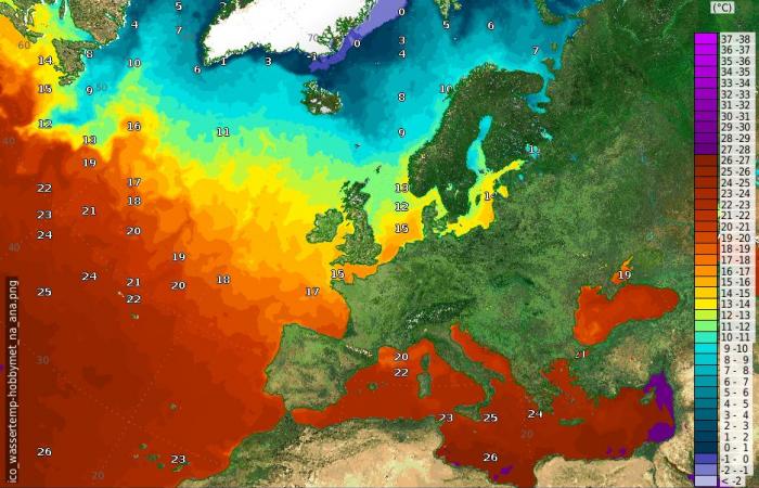 Currently 34°C in our 17th federal state. Weather expert Kathy Schrey is amazed – crazy heat wave in the Balearic Islands