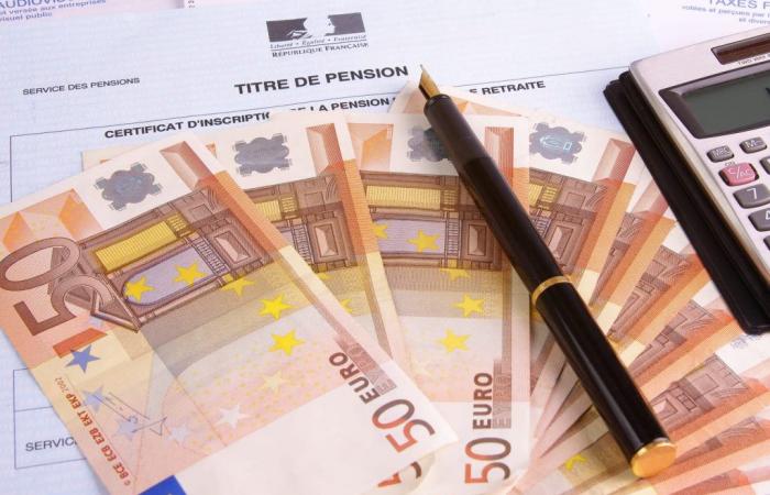 Half of French retirees receive a monthly income higher than this amount