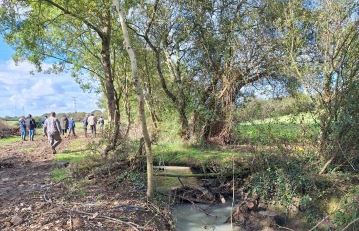 where are the works on these river banks?