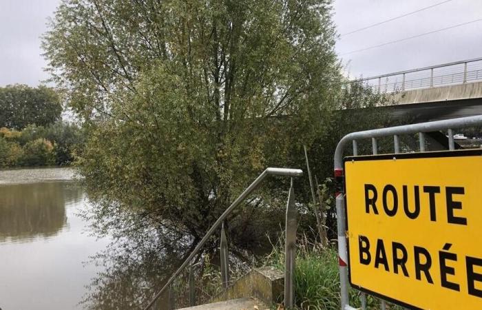 IN PICTURES. After heavy rains, the Maine floods the quays of Angers