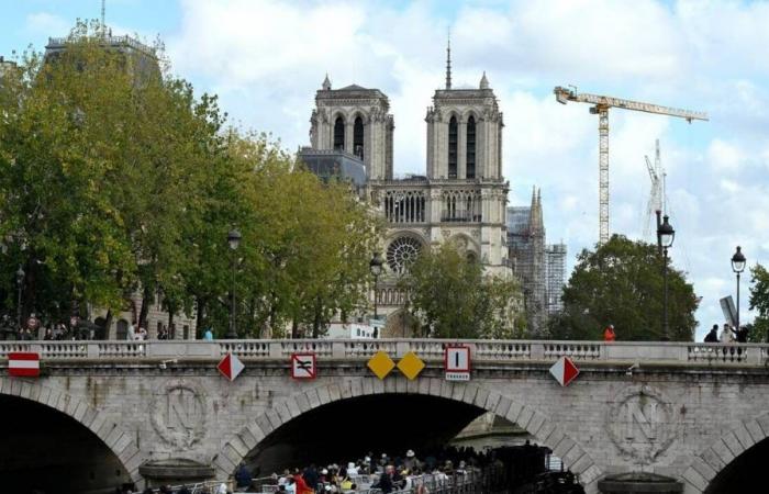 The square at Notre-Dame de Paris transformed by 2028 to adapt to global warming