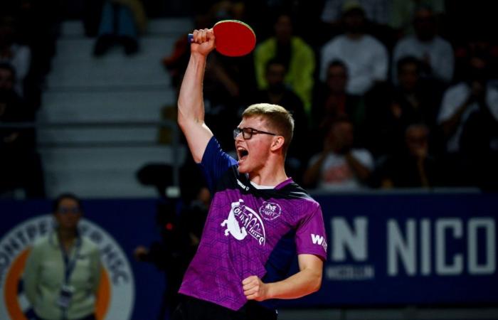 Table tennis | Hard blow for the Lebrun brothers before the European Championships